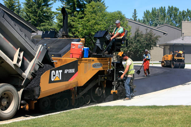 Best Local Driveway Pavers  in Tioga, TX